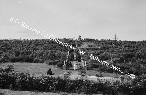 GROTTO AT CRATLOE